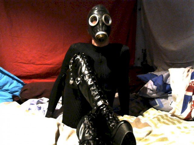 Alexitrans's profile - Image n°0