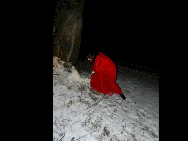 Amblika's profile - Image n°82