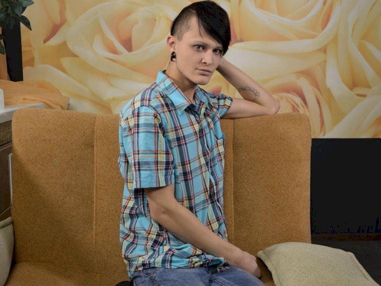 ArtiNice's profile - Image n°0