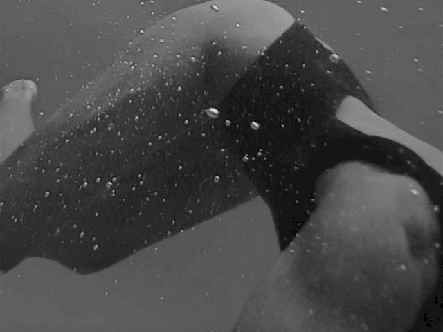 Addicted21's profiel - Afbeelding n°21