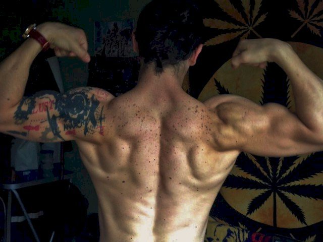 BABAOrhum's profile - Image n°3