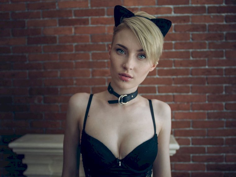 BlueChocolate's profile - Image n°0