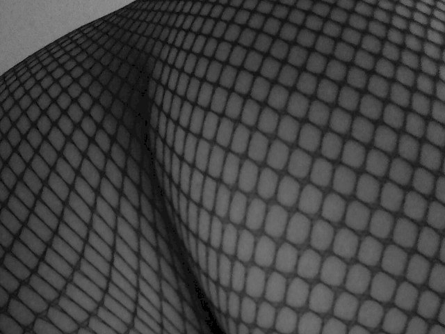 BlueGine's profile - Image n°2