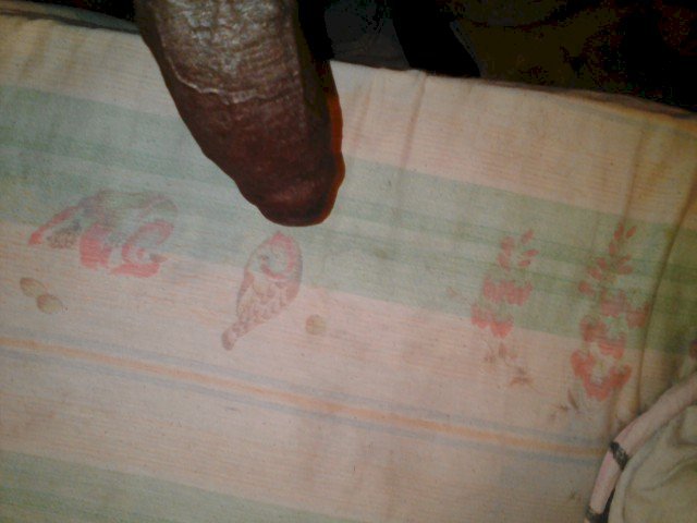 Perfil con brouwny - Imagen  n°5