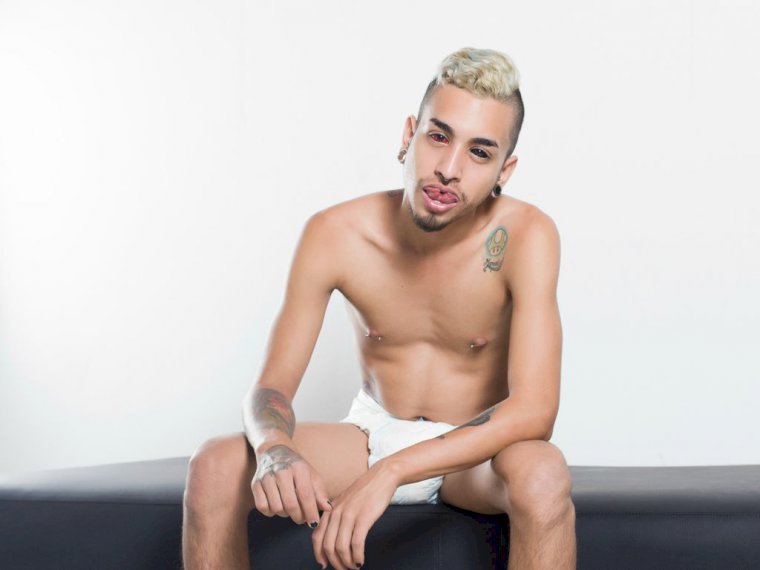 Brunnotatto's profile - Image n°1
