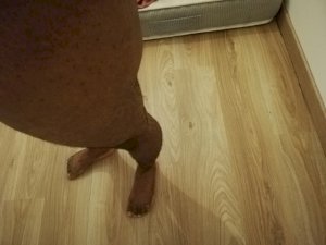 Cpldesiles2's Sexcam