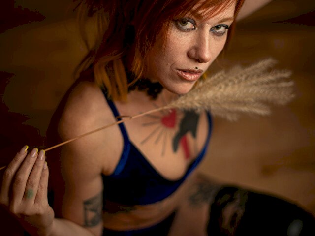 Chikitina's profiel - Afbeelding n°5