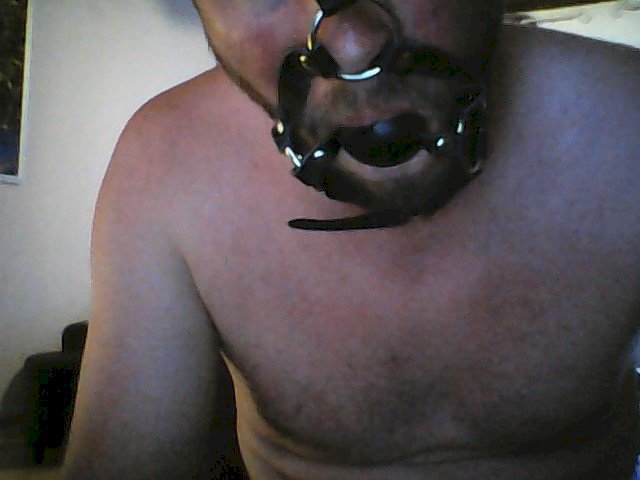 chaudboys's Profil - Bild n°0