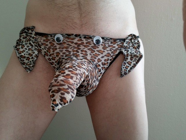 Draco81's profile - Image n°2