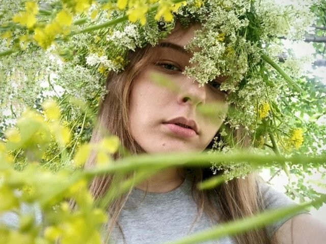 Dessert's profiel - Afbeelding n°8