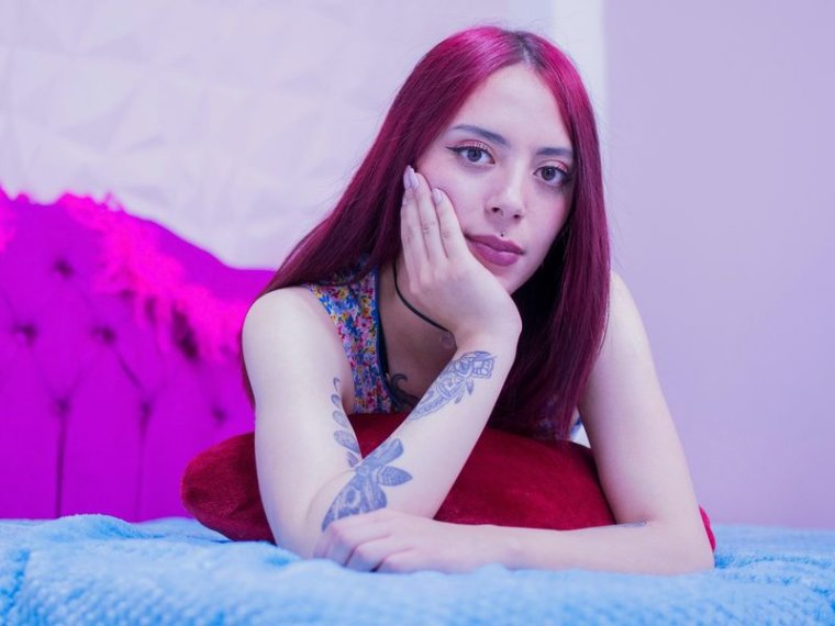 DayanBridge's profile - Image n°0