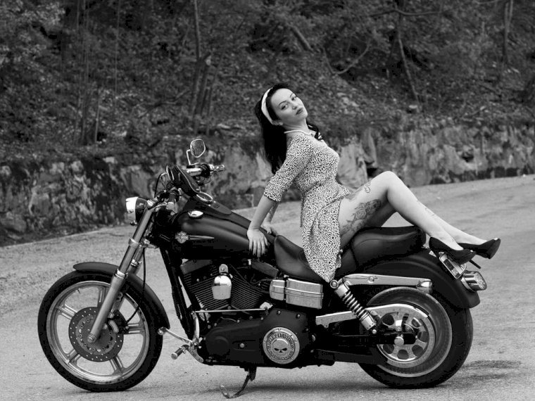 DynaHarley's profile - Image n°0