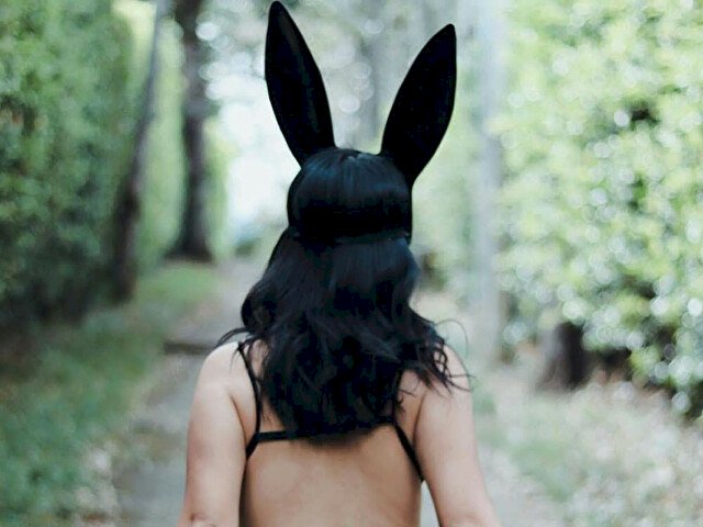 Perfil con EllektraAoki - Imagen  n°25