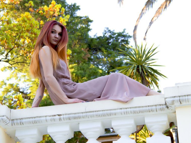 EllieFox's profile - Image n°0