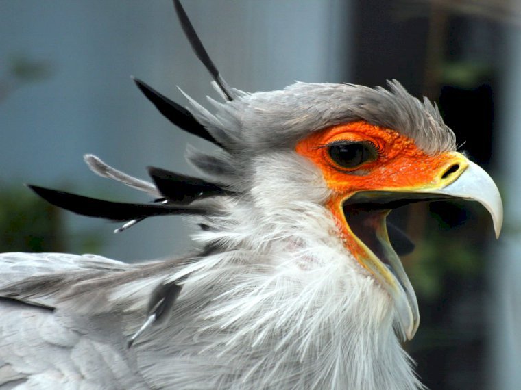 FinareTest's profile - Image n°0