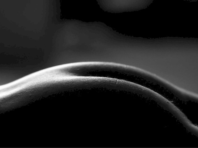 gatita6969's profiel - Afbeelding n°12