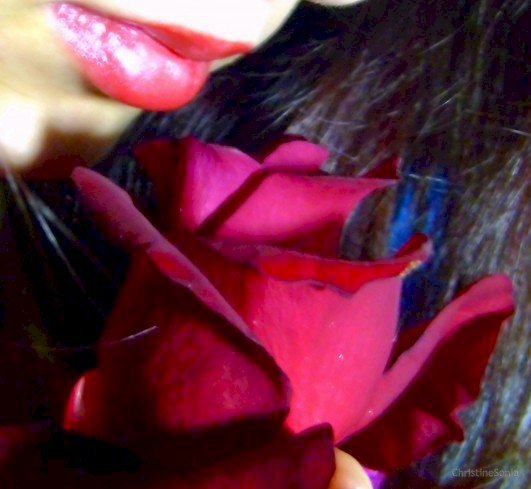 Profil de GoddessOfLove - Photo n°4