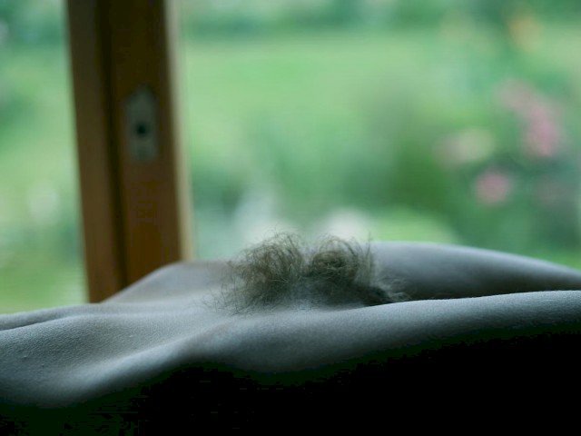 Helen's profiel - Afbeelding n°13