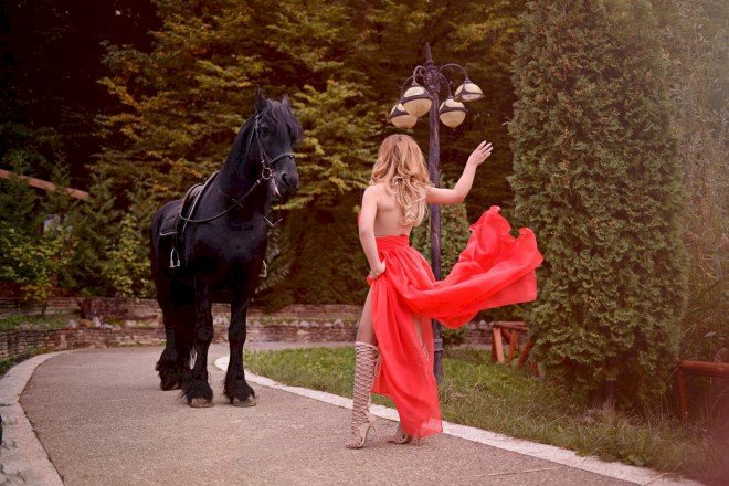 JaneettMartin's profiel - Afbeelding n°11