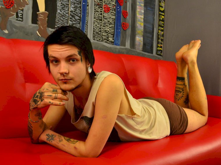 JarvisPaul's Profil - Bild n°1