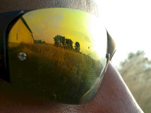 KanaryPunk's profile - Image n°1