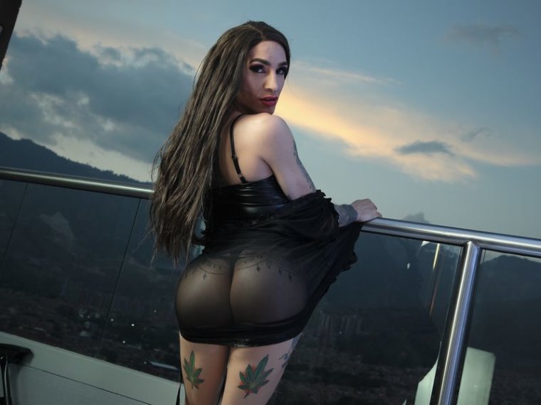 KehishaFox's profile - Image n°3