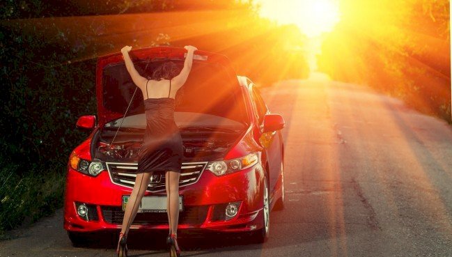 Perfil con KellyStoch - Imagen  n°5