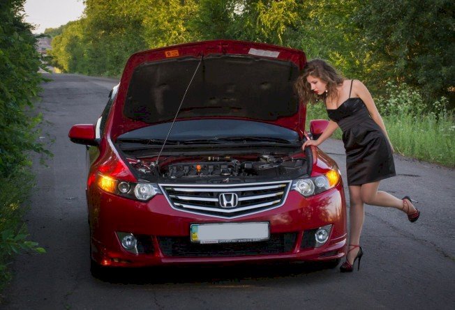 Perfil con KellyStoch - Imagen  n°11