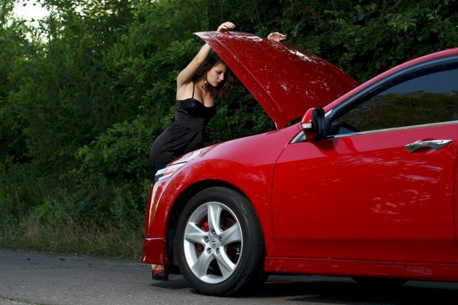 Perfil con KellyStoch - Imagen  n°13