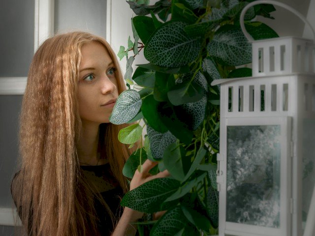 LanaBrick's profile - Image n°0