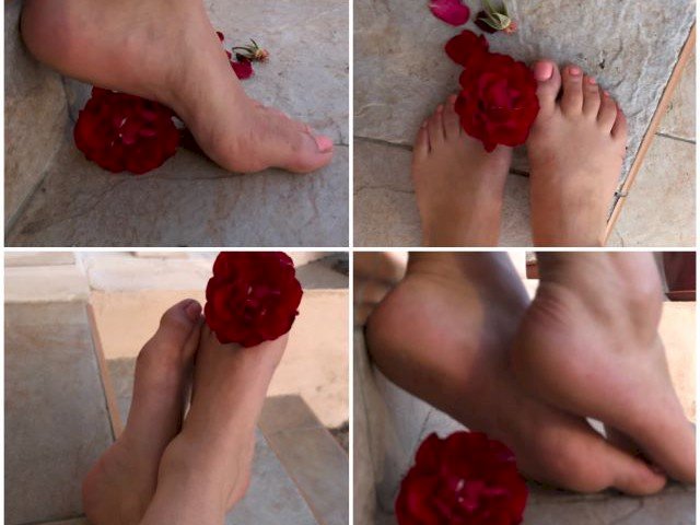 lapetitelola's Profil - Bild n°23