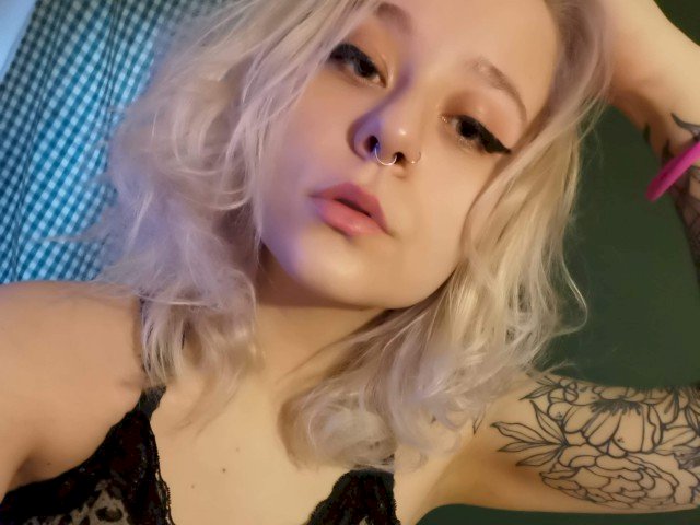 LexiNexi's profile - Image n°2