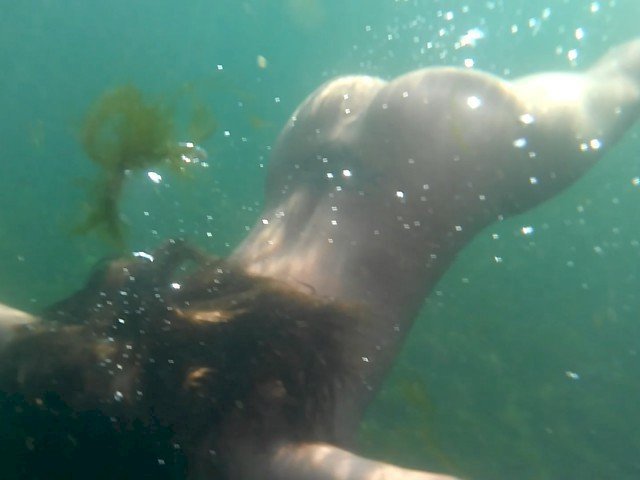 Lamey's profiel - Afbeelding n°28