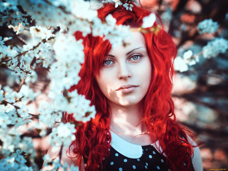 LikaMorgen's profile - Image n°0