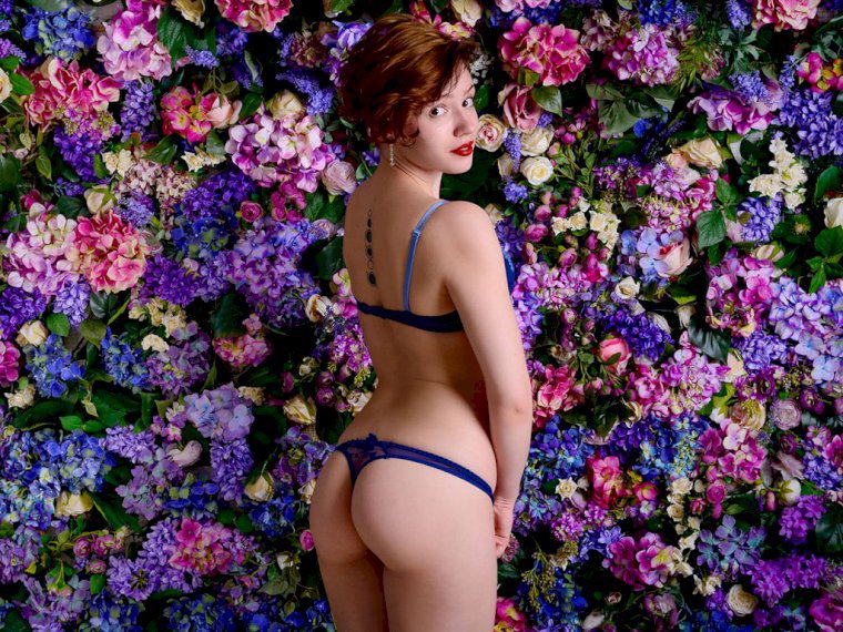 LittleHotFox's profile - Image n°1