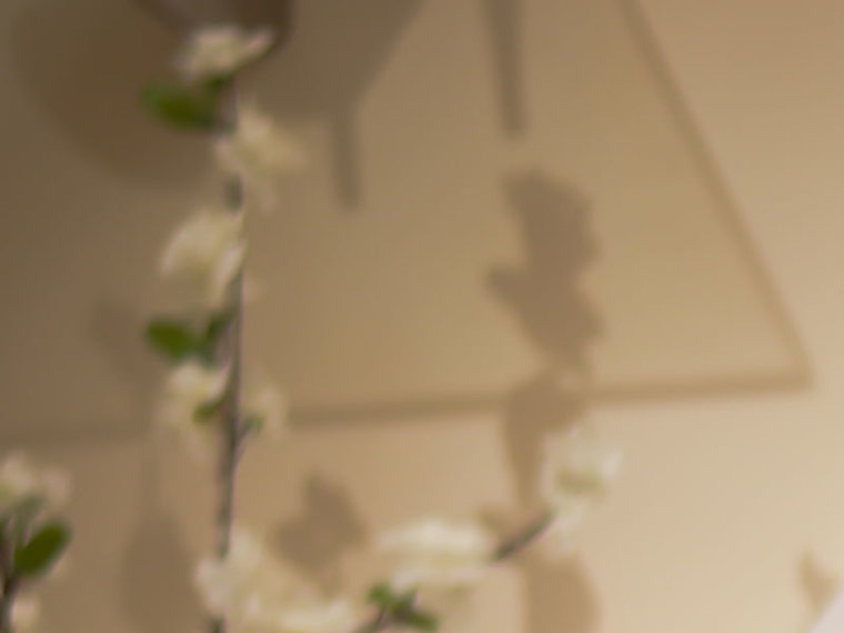 MariaKamilla's profile - Image n°1