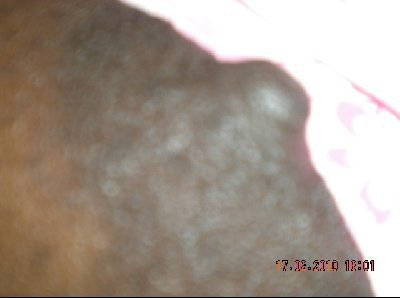 Profil de MIRATOUT - Photo n°1