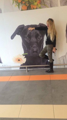 Profil de MoiDeRetour - Photo n°10