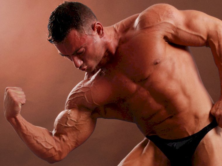 Muscl3Stud' profilo - Immagine n°1