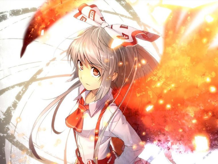 nomokoutest's profile - Image n°0