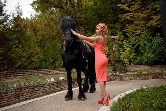 Patience's Profil - Bild n°17