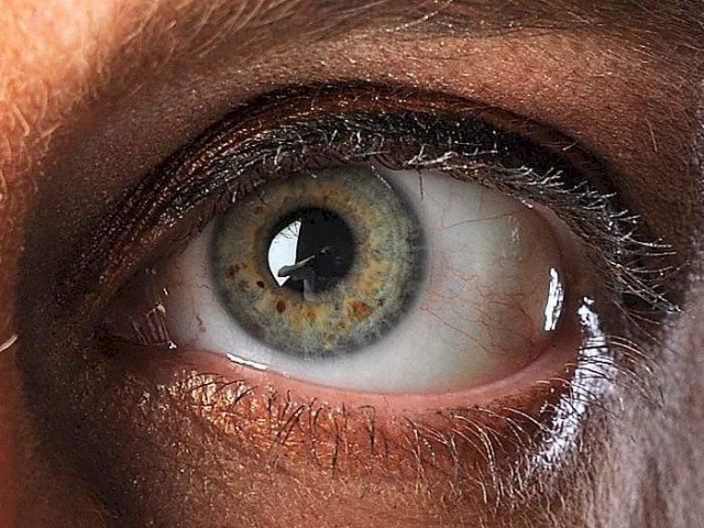 Perfil con pennypen - Imagen  n°17