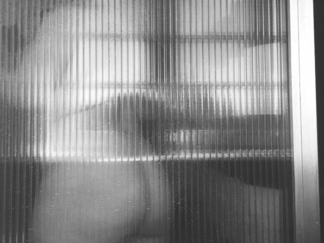 RosieLuna5's Profil - Bild n°11