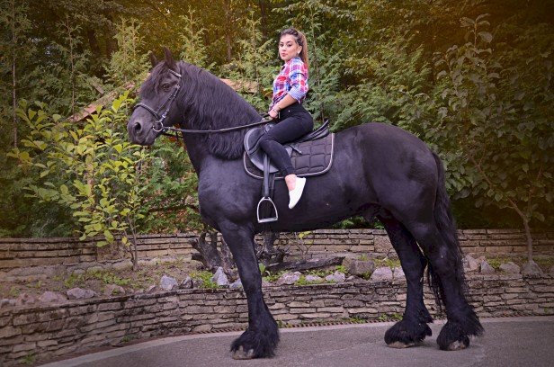 Perfil con Reeves - Imagen  n°39