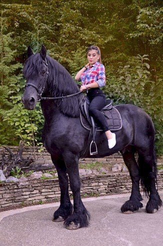 Perfil con Reeves - Imagen  n°7