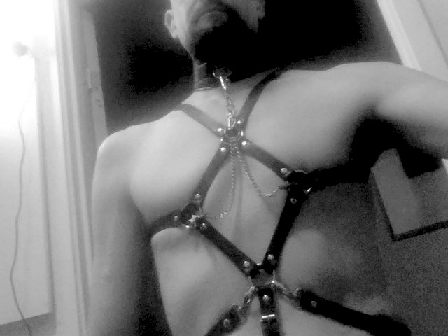 Profil de SweDom - Photo n°2