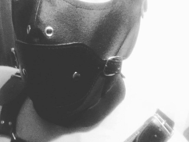 Profil de SweDom - Photo n°4