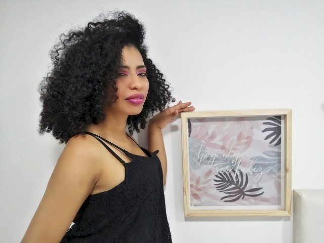 Perfil con SOFIAMS - Imagen  n°8