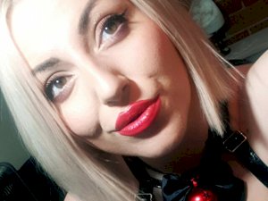 Profil de SpaceKitty