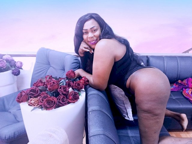 Perfil con Safiro - Imagen  n°12